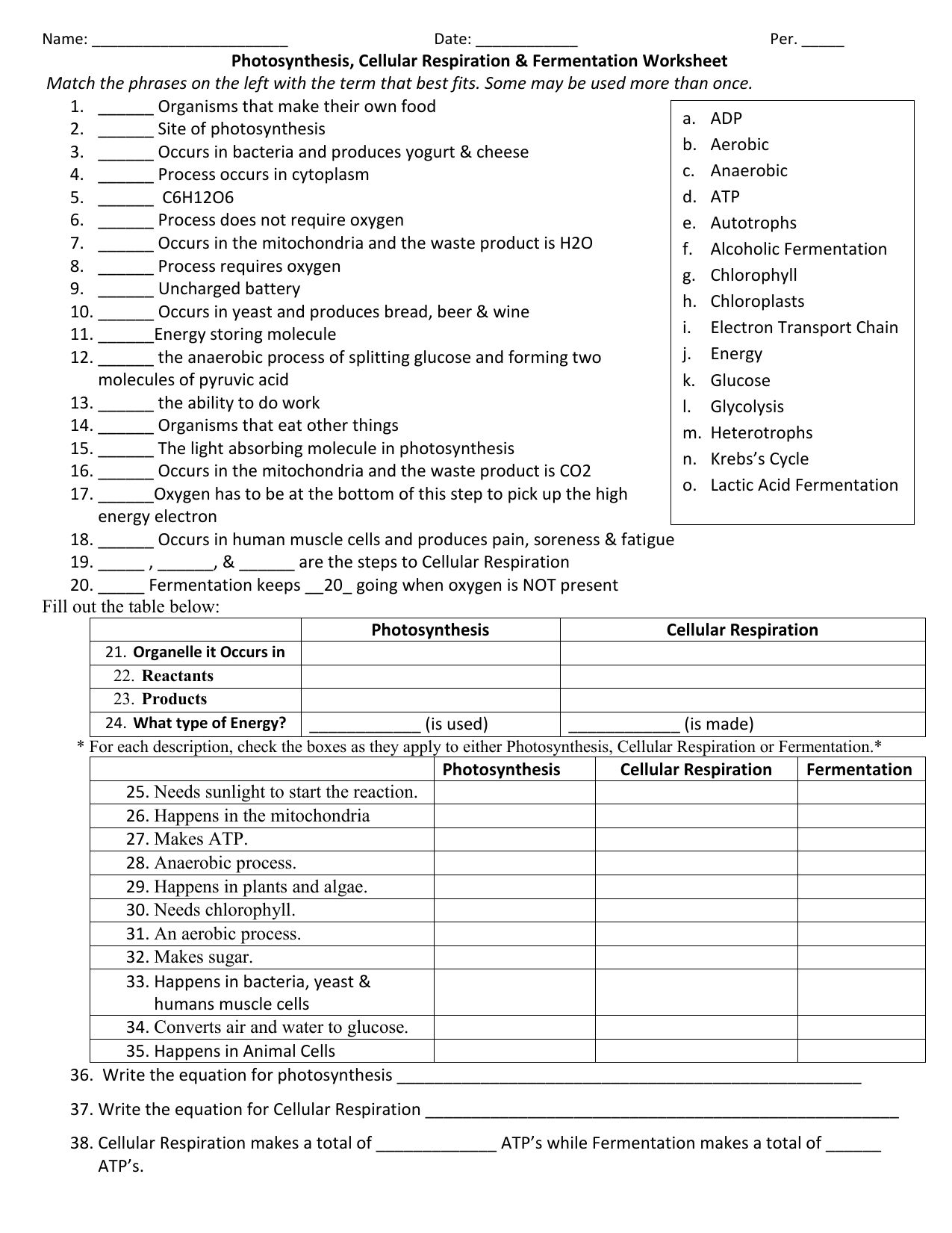 Photosynthesis Cellular Respiration And Fermentation Worksheet