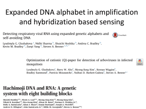 20190404 Expanded DNA alphabet in amplification and hybridization based