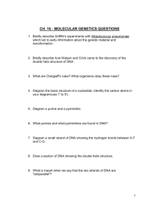 CH 16 molecular genetics questions (2)