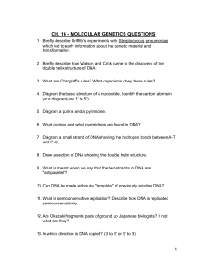 CH 16 molecular genetics questions (2) 2