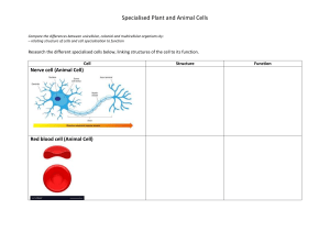 Specialised cells 