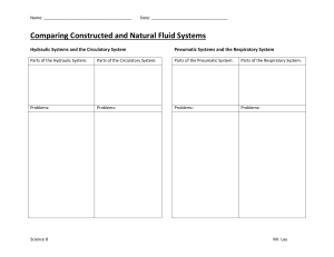 Comparing Constructed and Natural Fluid Systems