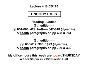 (Wk2Th)- Endocytosis.BICD110