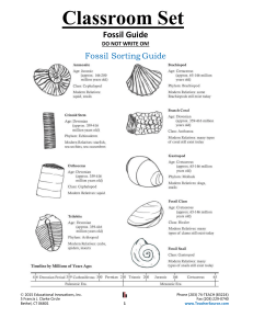 Fossil Guide 2018