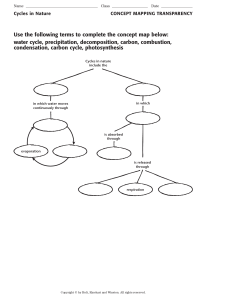 Cycles in Nature Concept  Map