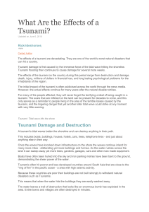 What Are the Effects of a Tsunami