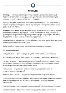 Lipids: Definition, Types, and Functions