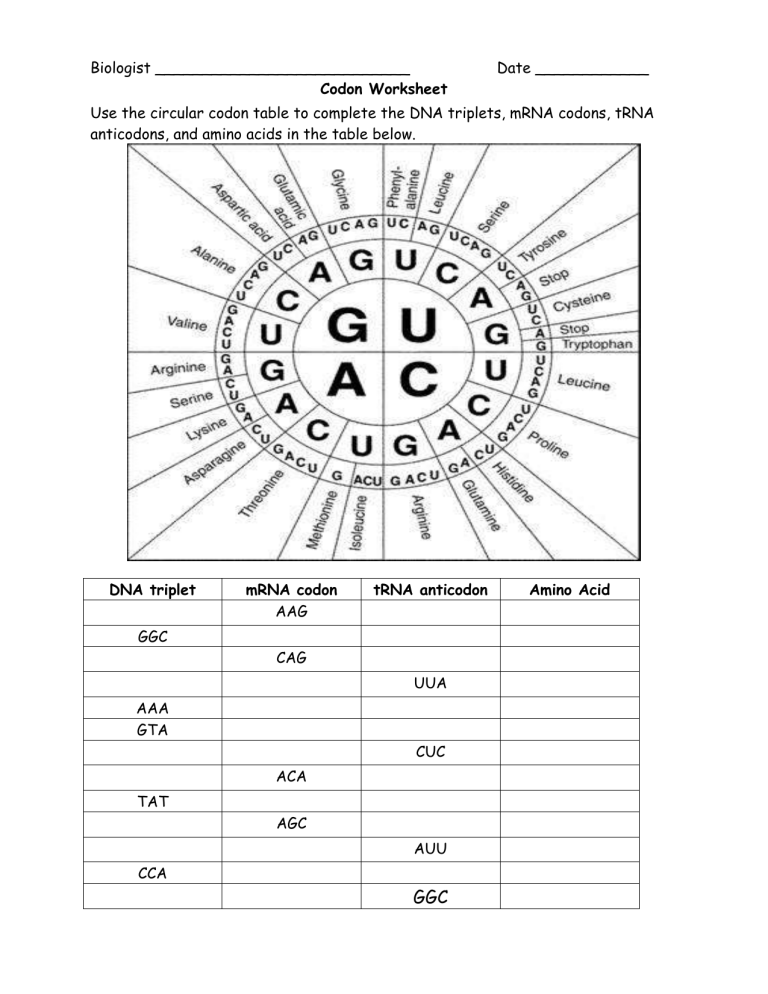 Codon Worksheet 1 