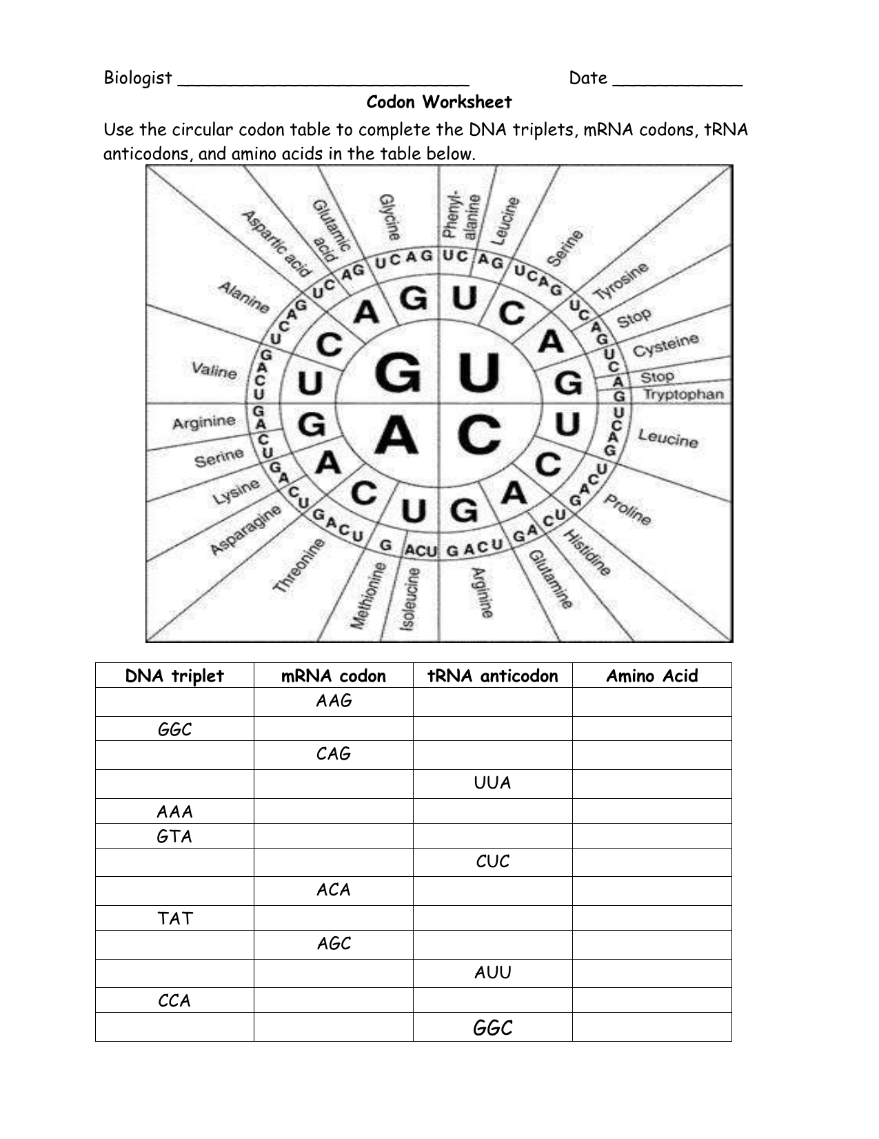 Codon To Amino Acid Circular Chart