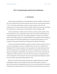(A) DNA Transformation and Protein Purification (Last paper)