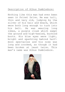 Description of Albus Dumbledore