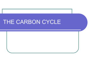 Carbon Cycle (1)