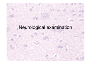 neurological examination