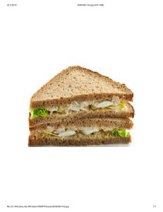 sandwich 3DShSM-142