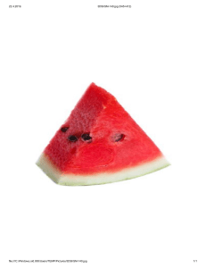 watermelon 3DShSM-140
