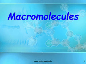 Macromolecules1