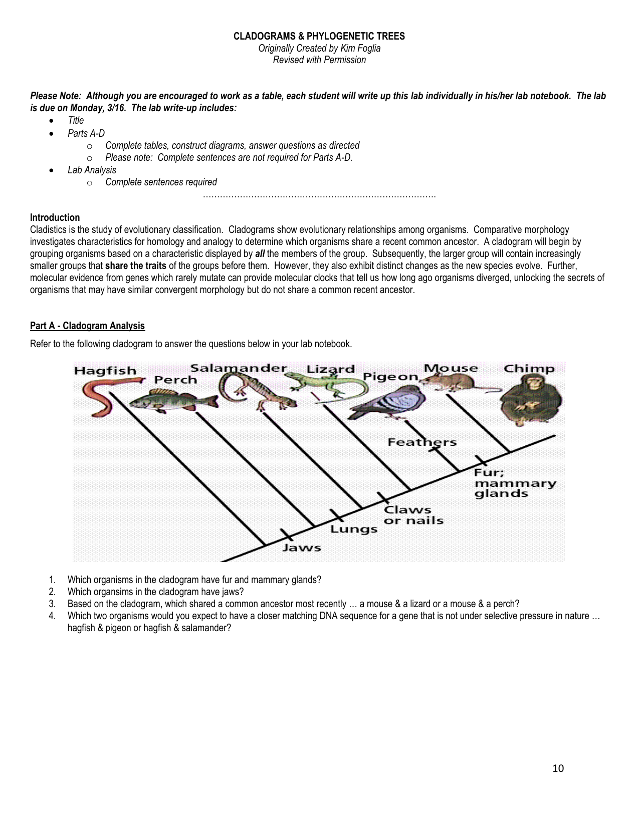 cladogram-lab-2014