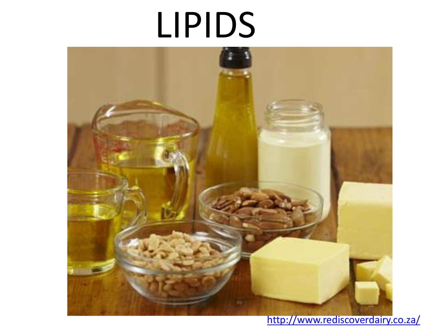 research articles about lipids