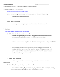 Lanadria Scott - Karyotype webquest