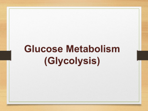 aerobic vs anaerobic glycolysis