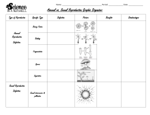 4. Asexual vs. Sexual Reproduction Graphic Organizer