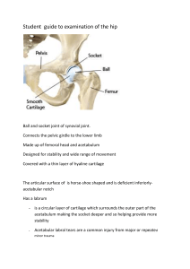 Student  guide to examination of the hip