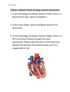 Circulatory Station Rotation Directions for 3 Stations