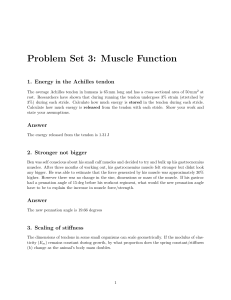 Problem Set 3 (Muscle Function)
