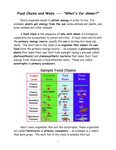 Food Chains and Webs reading pkt