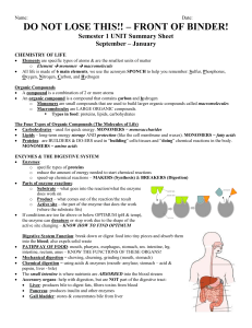 Chemistry of Life Summary Sheet