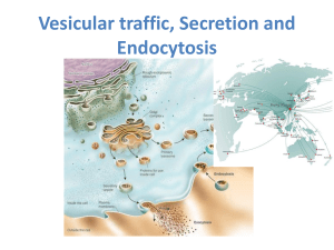 LIFS2040 Vesicular traffic, Secretion and Endocytosis Lecture I