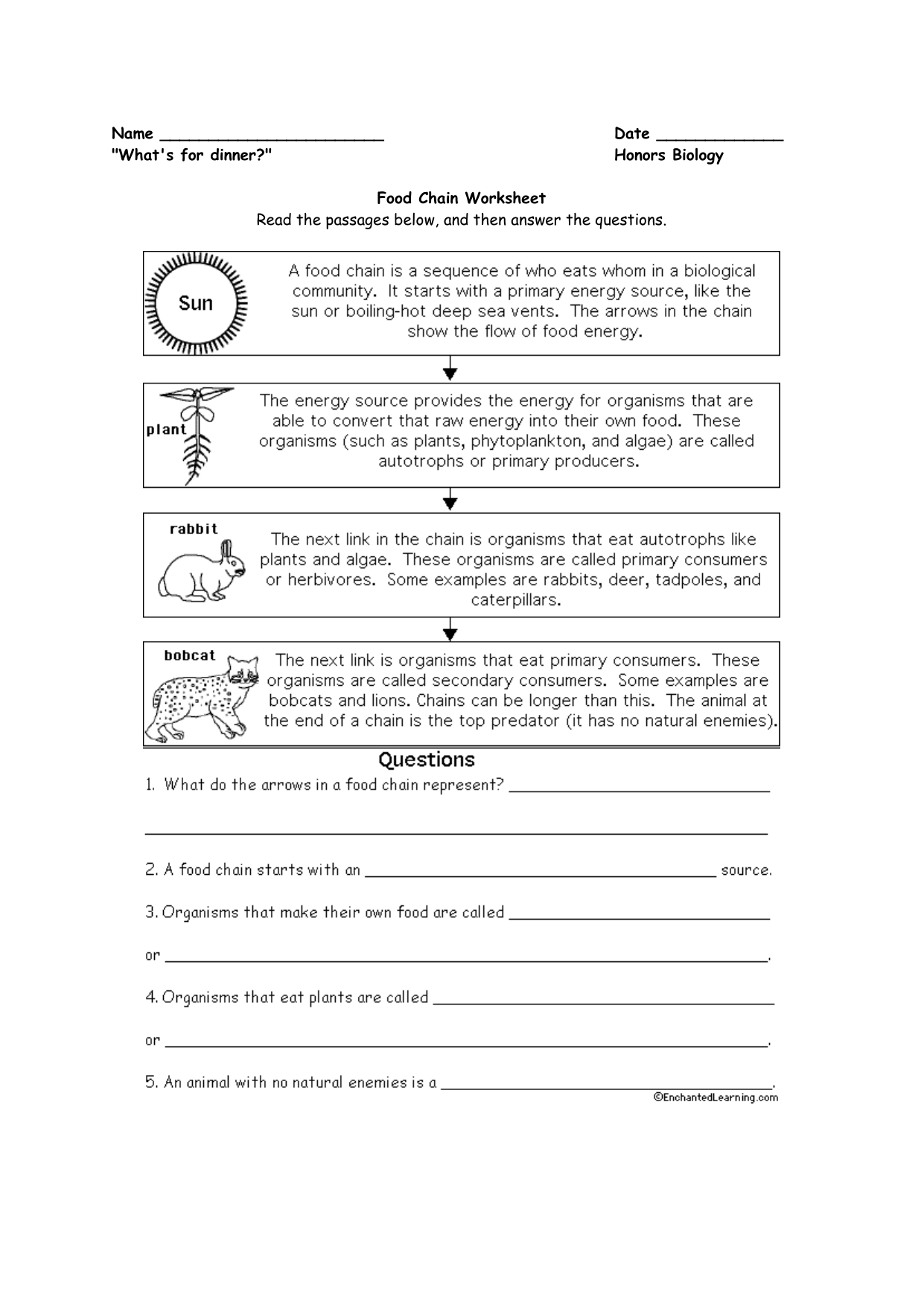 Food Chain and Food web Worksheets Pertaining To Food Chain Worksheet Answers