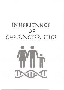 Inheritance of Characteristics Workbook