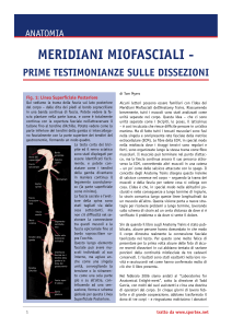 Meridiani Miofasciali - Anatomy Trains