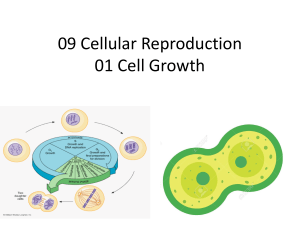 Cellular Reproduction: Cell Growth & Cell Cycle