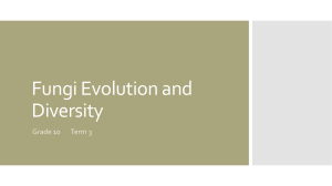 Fungi Evolution and Diversity
