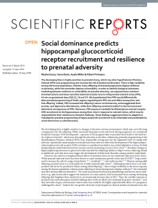 Social dominance predicts hippocampal glucocorticoid receptor recruitment a nd resilience to prenatal adversity