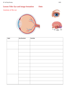 GCSE Biology- Eye Structure and Image Formation_Worksheet Questions