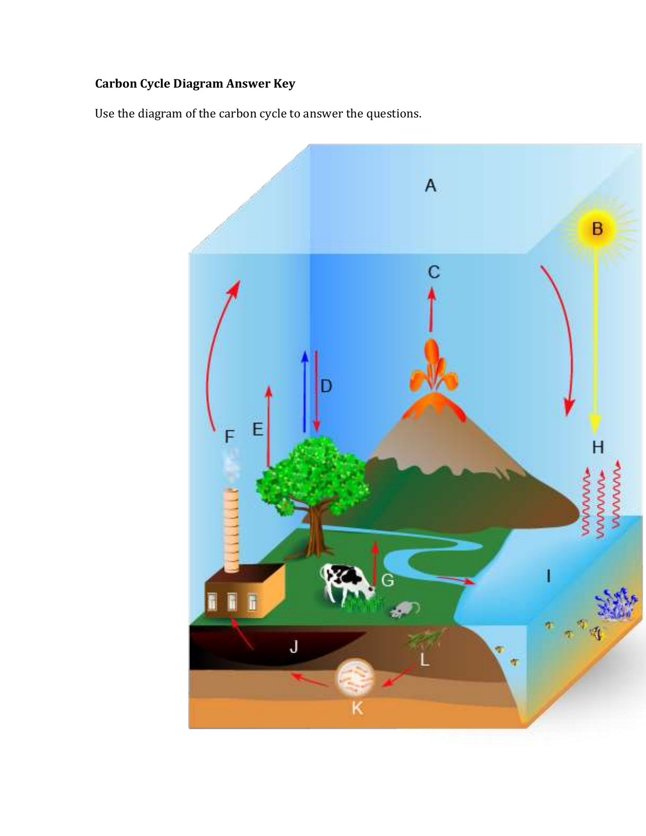 carbon-cycle-diagram-worksheet