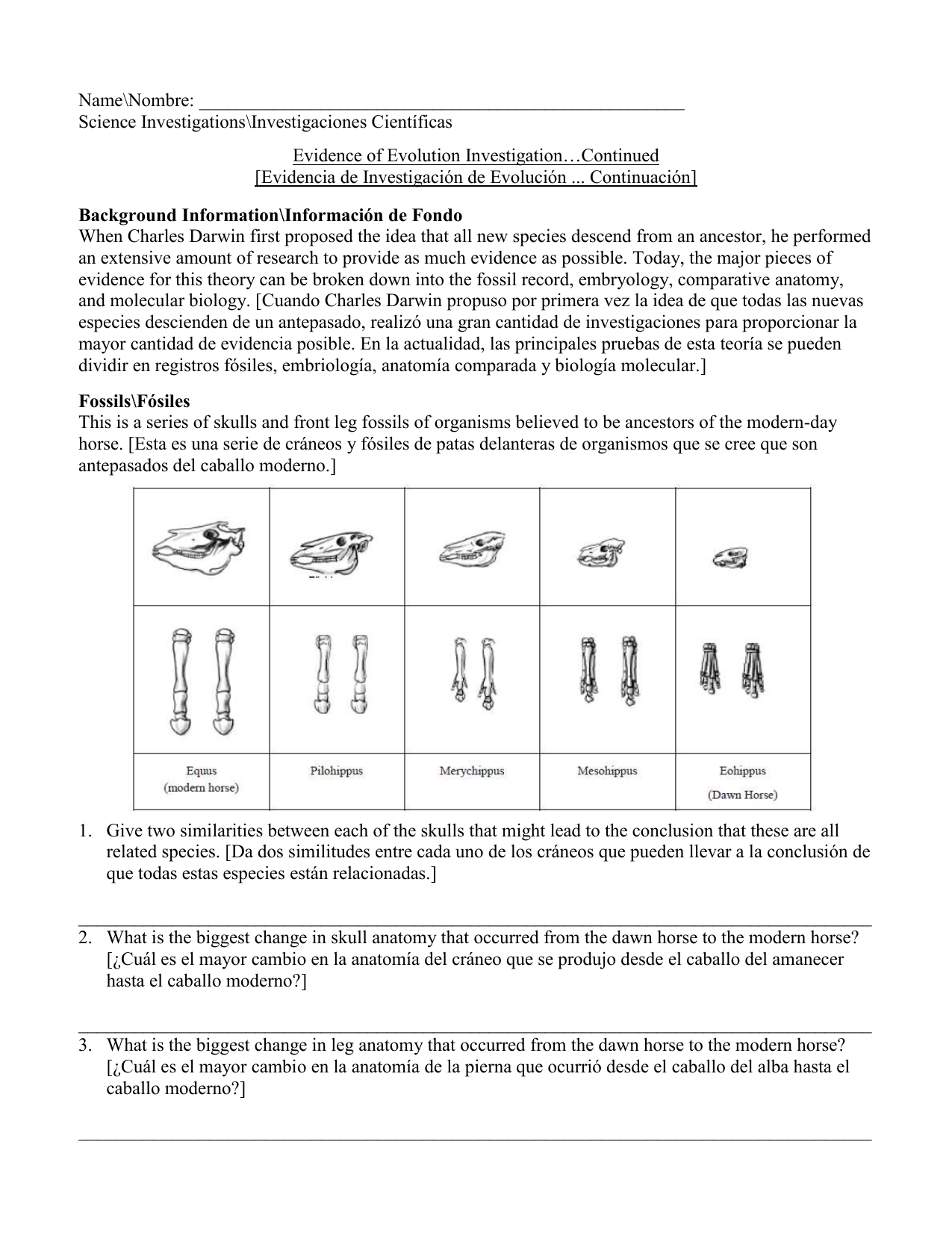 Evidence Of Evolution Activity ELL