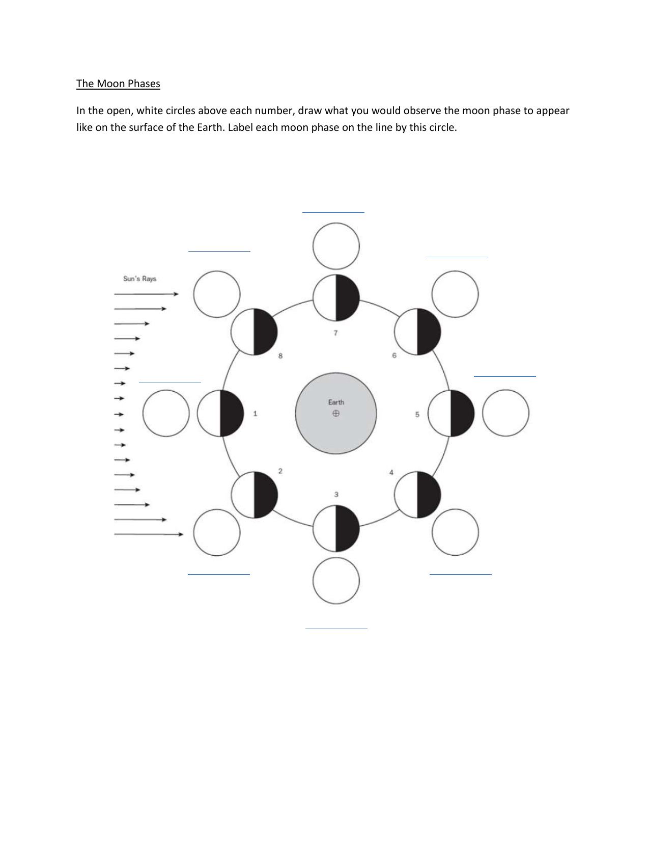 Blank Moon Phases Worksheets