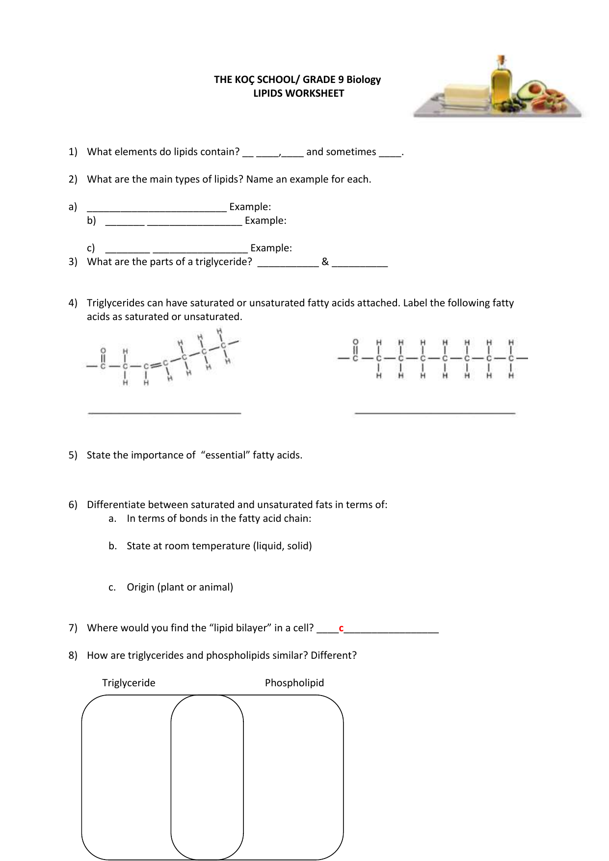 Lipid Worksheet For Lipids Worksheet Answer Key