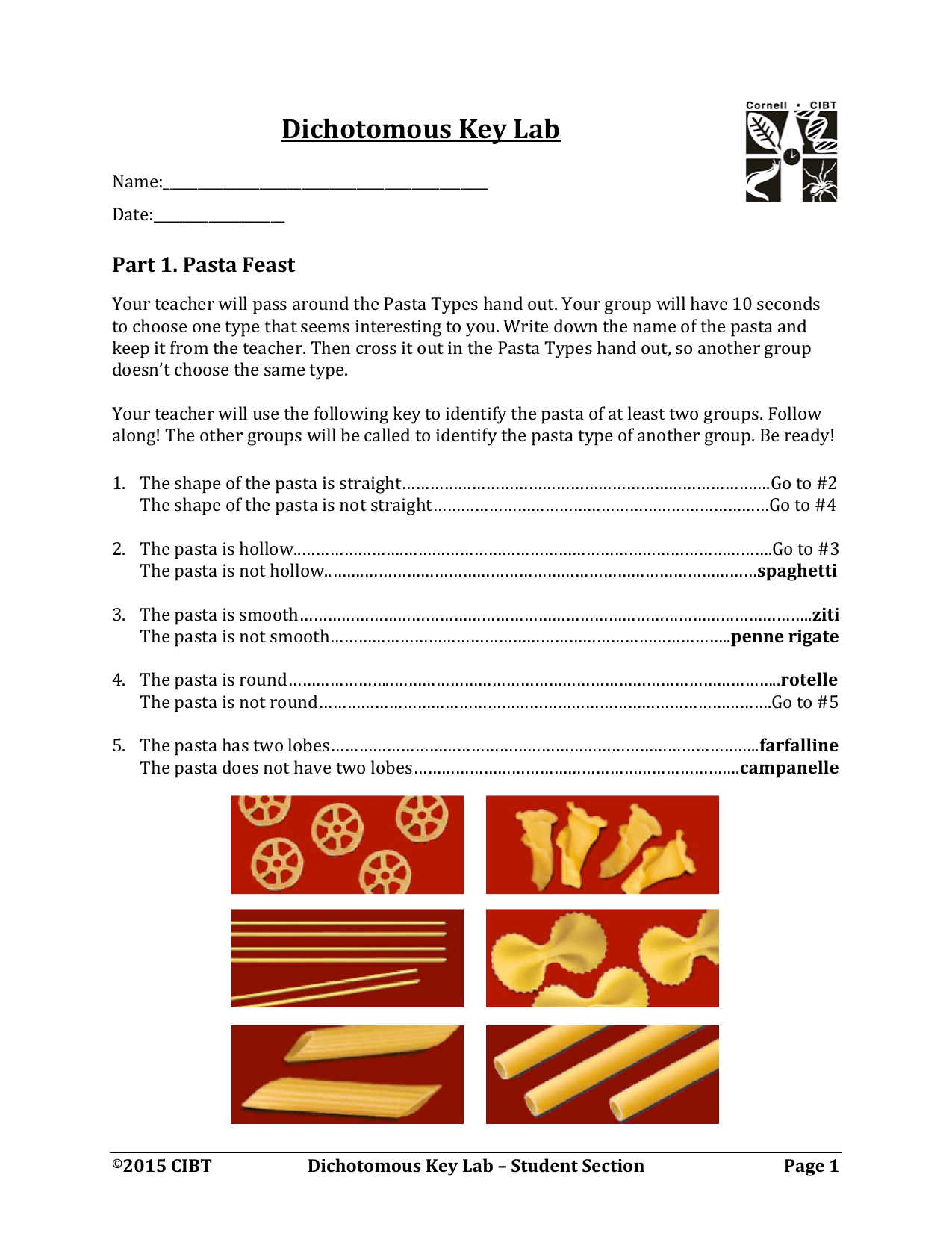 Dichotomous-Key-Handout-STUDENT-CIBT With Regard To Dichotomous Key Worksheet Pdf