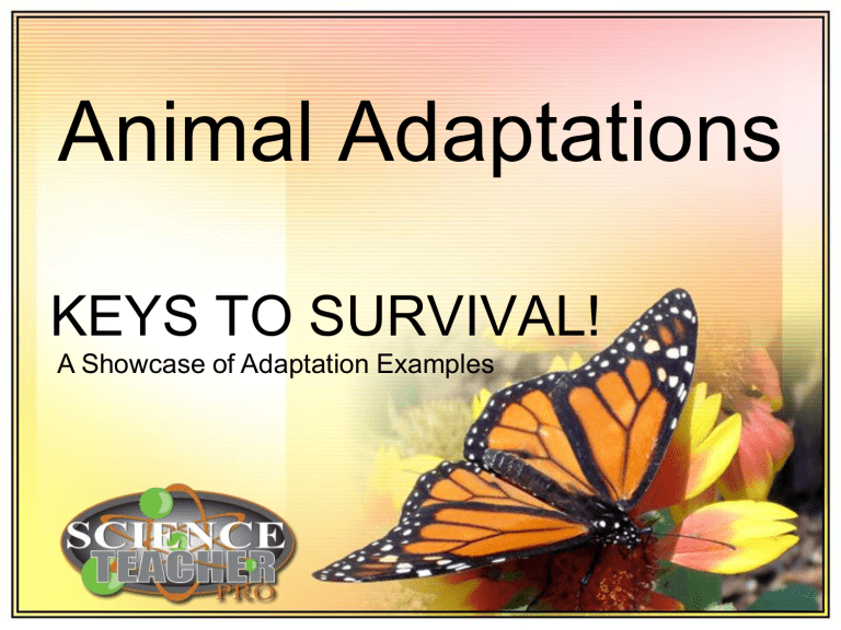 AnimalAdaptationShowcase