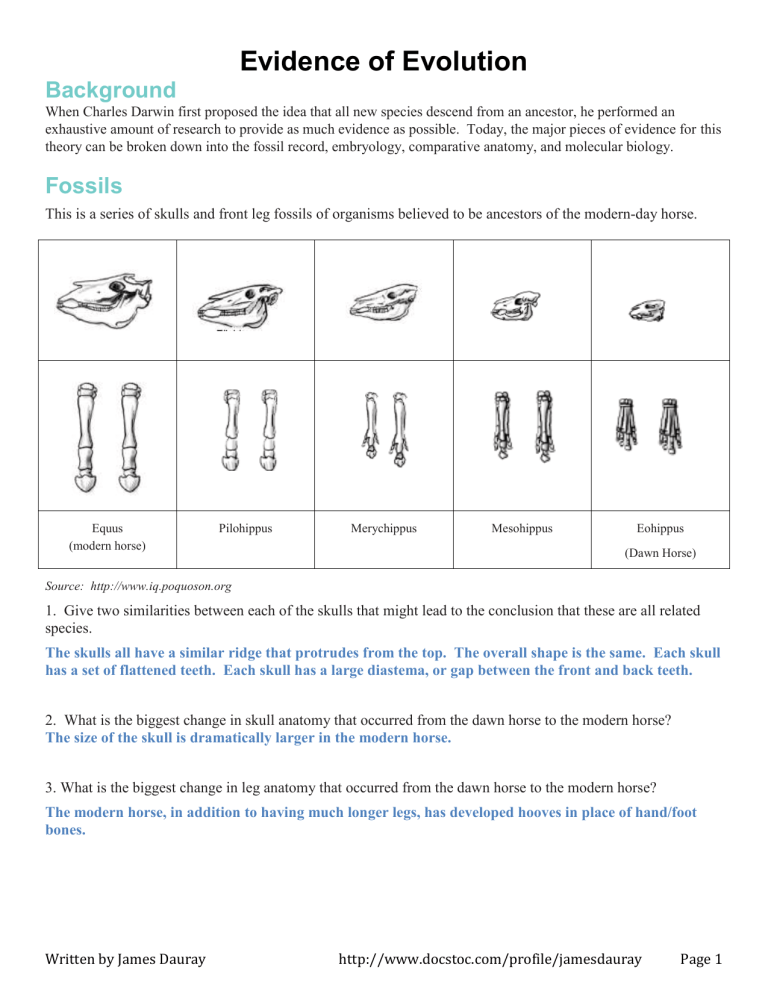 Types Of Evolution Worksheet Pdf Answers