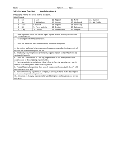 Soil Vocabulary Quiz A & B