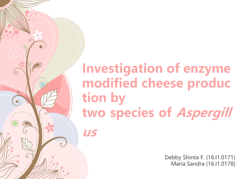 enzyme modified cheese