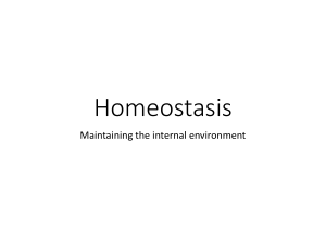 L1 Homeostasis