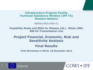 Ohrid Workshop Financial and  Economic Analysis