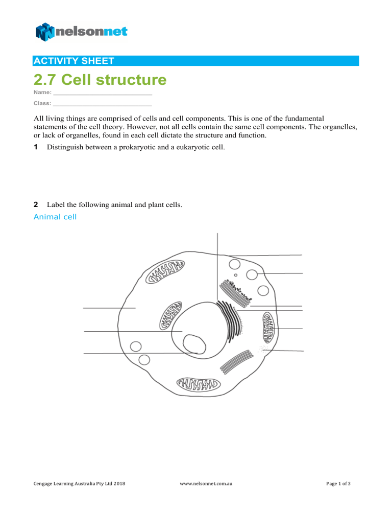 cell structure assignment pdf